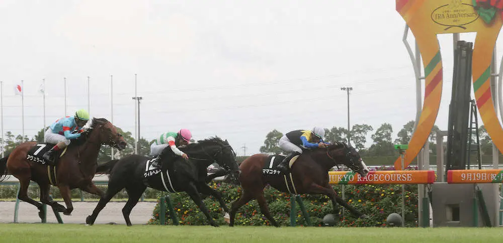 ＜中京10R・納屋橋S＞直線抜け出し快勝した松山騎乗のママコチャ＝右（撮影・椎名　航）