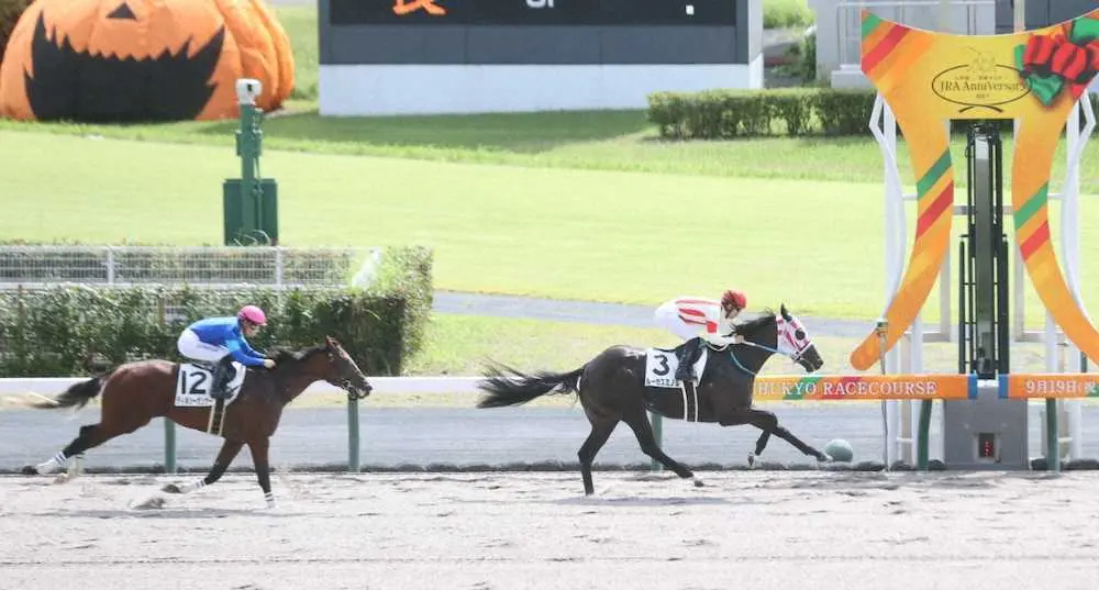 ＜中京4R・新馬戦＞レースを制した荻野騎乗のルーカスミノル（右）