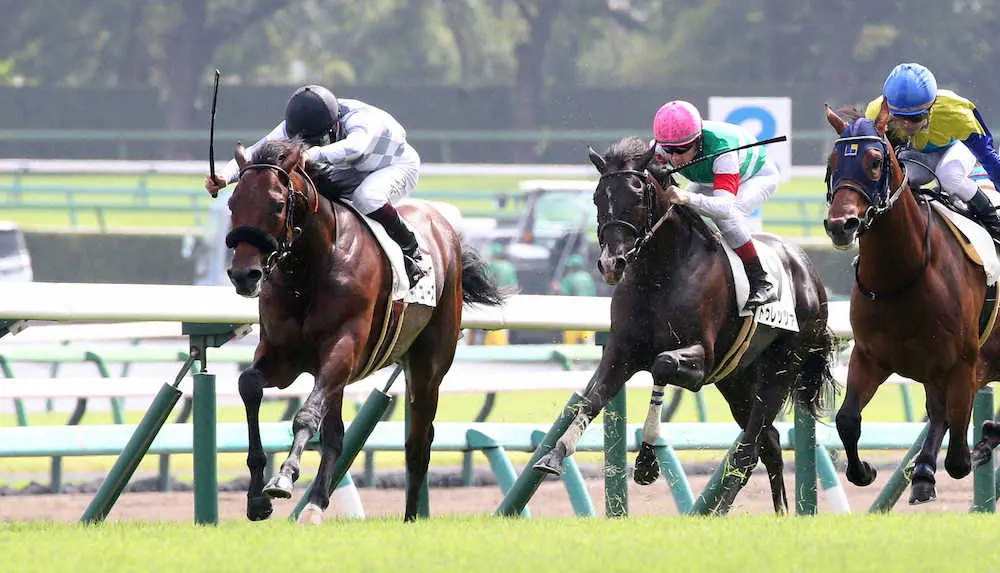 ＜中山6R＞新馬戦を制した横山武騎乗のネビュルーズ（左）（撮影・西川祐介）