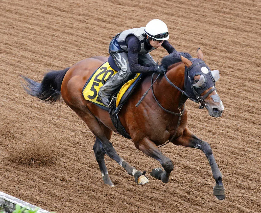 坂路を併せて追い切るロバートソンキー（撮影・西川祐介）