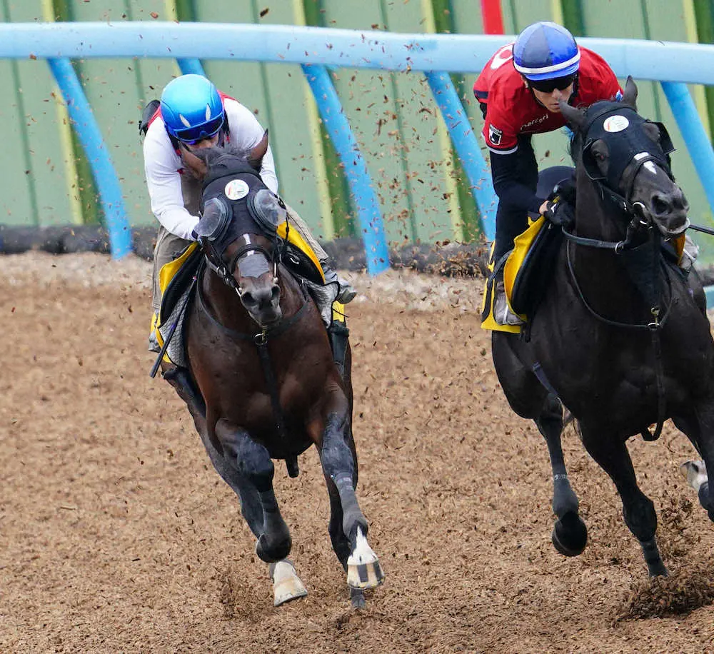 併せて追い切る内田騎乗のクレッシェンドラヴ（左）（撮影・西川祐介）