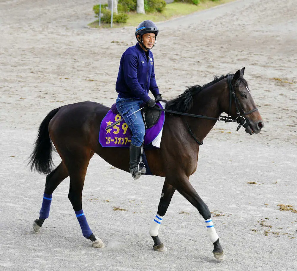 美浦トレセンで調整したスターズオンアース（撮影・西川祐介）
