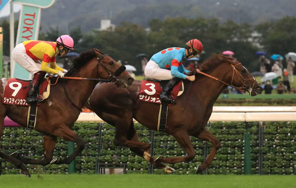 ＜東京11R＞毎日王冠を制した松山騎乗のサリオス（右）と2着のジャスティンカフェ（撮影・西川祐介）
