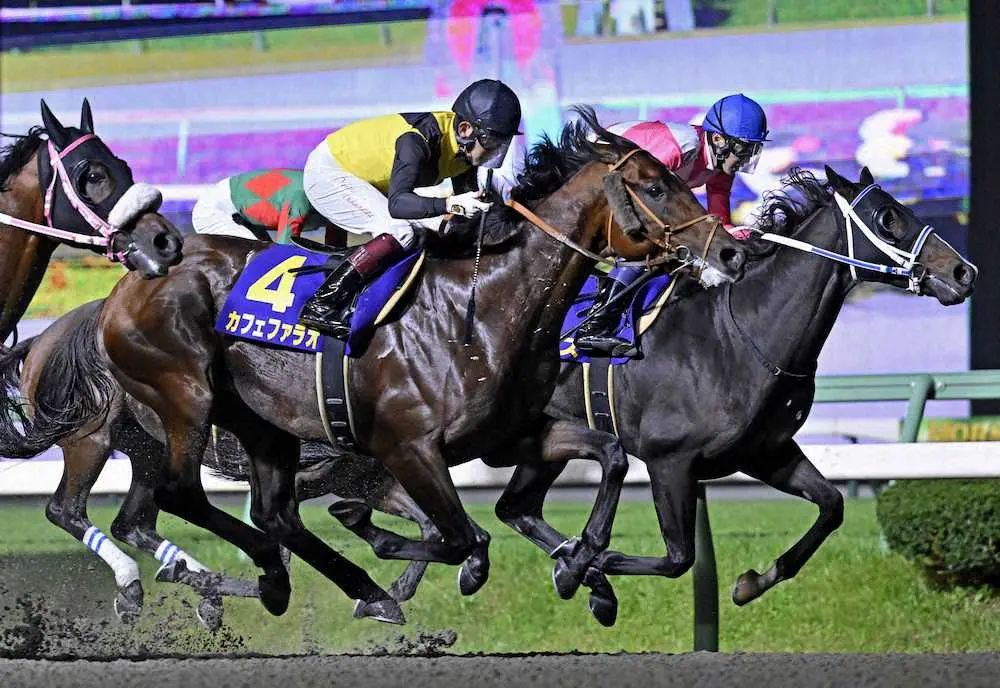 マイルチャンピオンシップ南部杯で優勝したカフェファラオ（4）