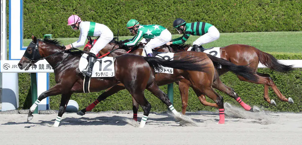 ＜阪神4R＞クビ差で勝利しデビュー戦を飾ったダンテバローズ（12）（撮影・奥　調）