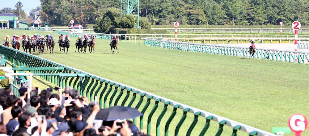 ＜新潟7R＞3歳以上1勝クラスを制した永島騎乗のセルレア（右端）（撮影・西川祐介）