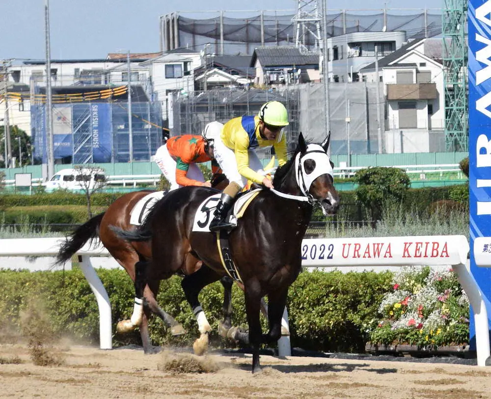 21日の浦和3Rを勝利したリジン