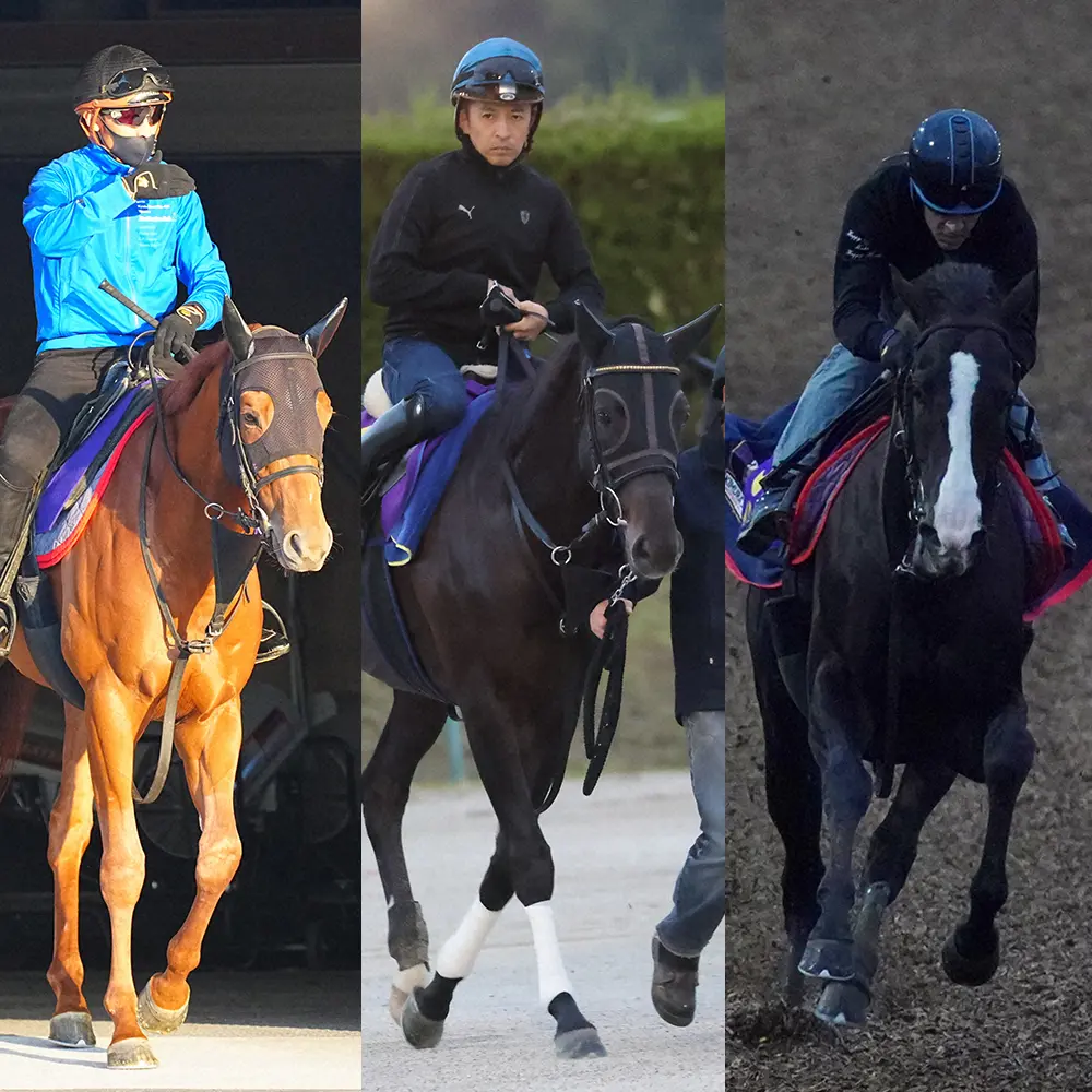（左から）ジオグリフ、シャフリヤール、イクイノックス