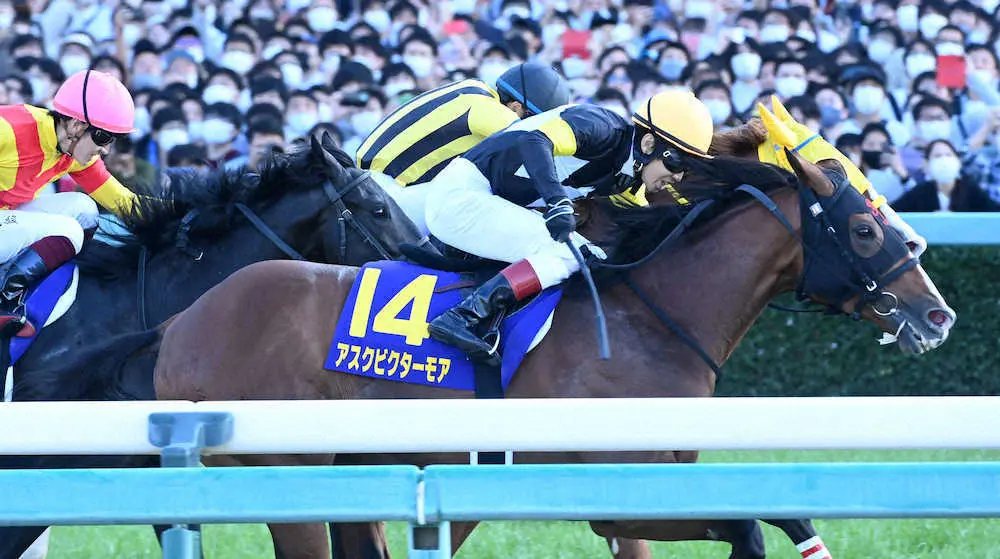 ボルドクフーシュをハナ差で破り菊花賞を制したアスクビクターモア
