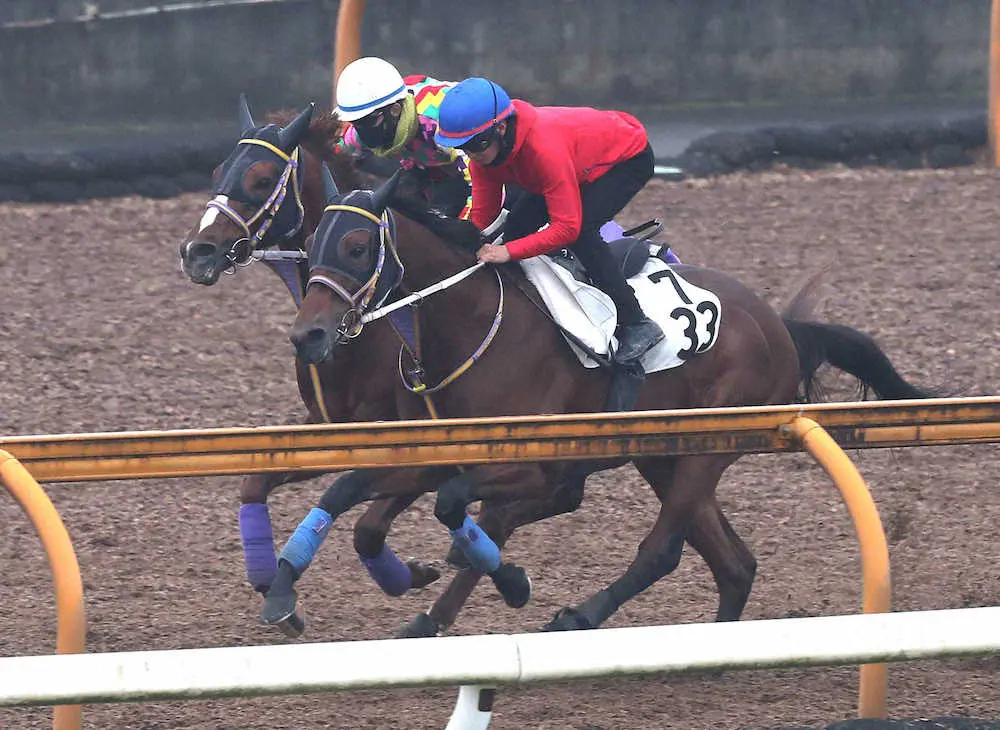 藤岡康を背にCウッドを併せ馬で追い切るサクラアリュール（左）