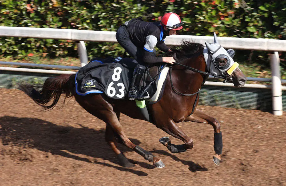 清水久師がファンタジーＳに送り込むバレリーナ