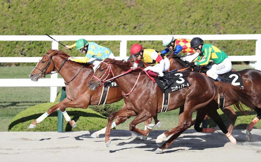 ＜阪神9R・もちの木賞＞馬群から抜けだすデルマソトカゲ（左）（撮影・平嶋　理子）