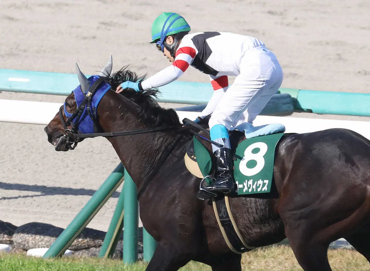 ＜京都ジャンプS＞勝利したホッコーメヴィウスと馬上でガッツポーズの黒岩騎手（撮影・亀井　直樹）