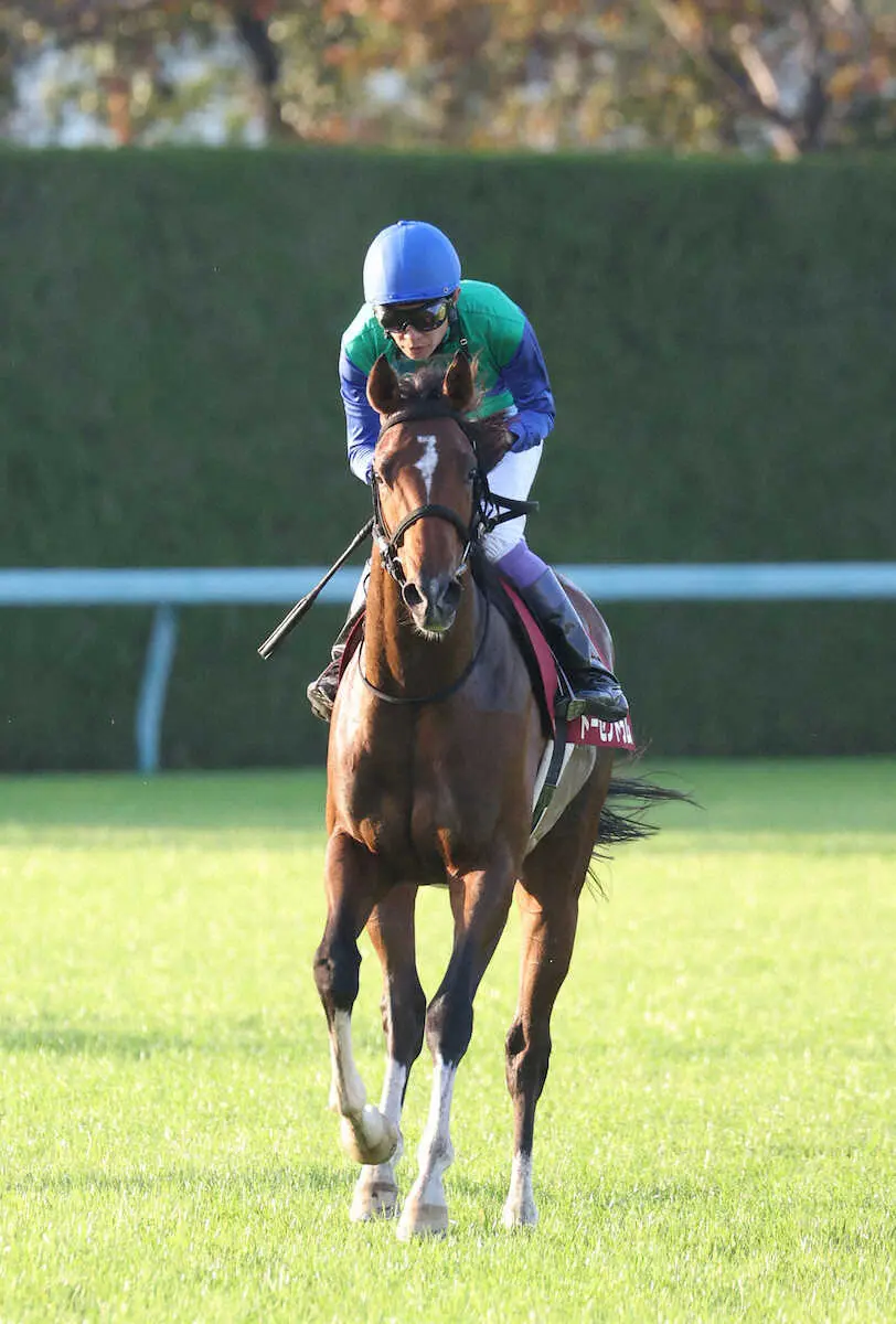 ＜デイリー杯2歳S＞武豊騎手騎乗で8着のトーセントラム　（撮影・亀井　直樹）