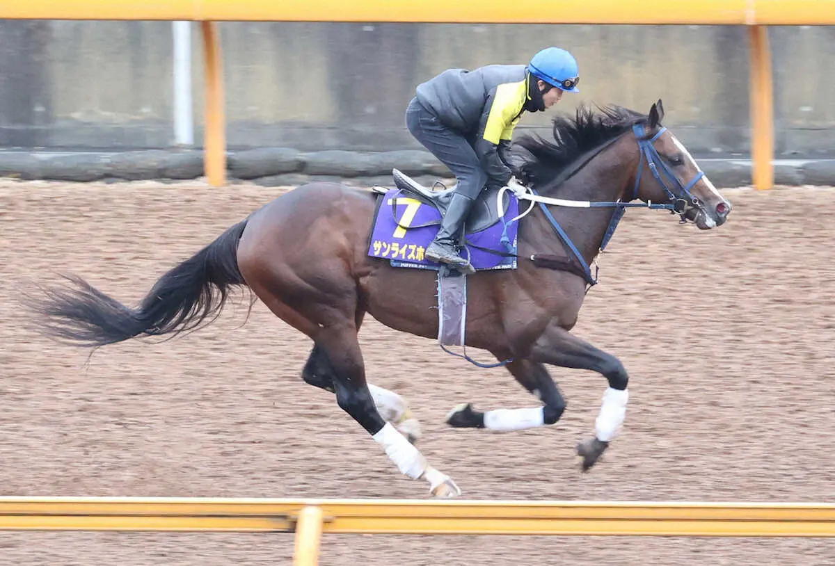 CWコースで調整するサンライズホープ（撮影・亀井直樹）