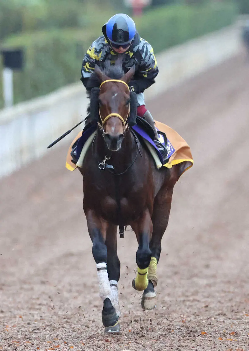 坂路で追い切るスマッシングハーツ（撮影・亀井直樹）