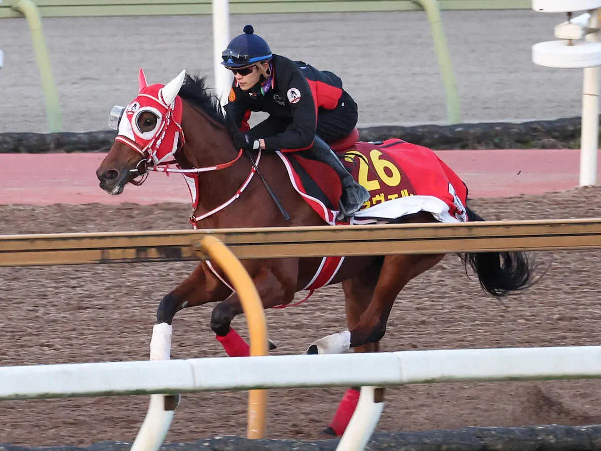 坂井瑠星を背にCウッドを単走で追い切るラヴェル