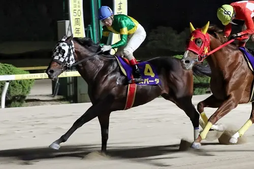 重賞2連続Vを目指すスパーダ