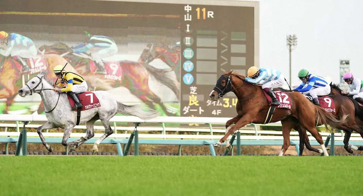 ＜スポニチ賞ステイヤーズS＞レースを制したシルヴァーソニック（左、中央は2着・プリュムドール、右は3着・ディバインフォース）（撮影・沢田　明徳）