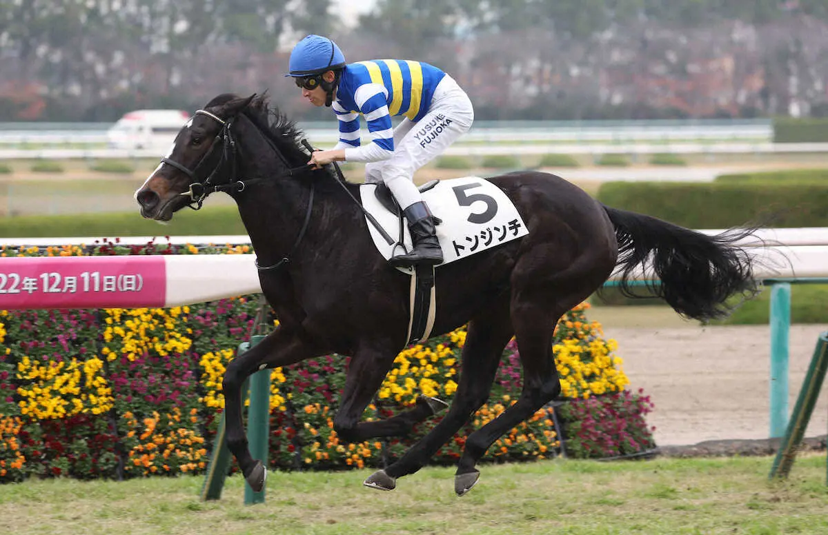 ＜阪神5R＞後続を突き放し勝利するトンジンチ（撮影・亀井　直樹）