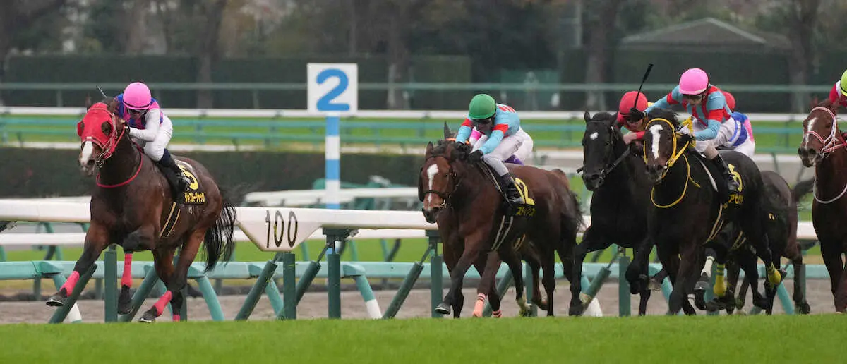 ＜ラピスラズリステークス＞レースを制したジャスパージャック（左）＝撮影・郡司　修