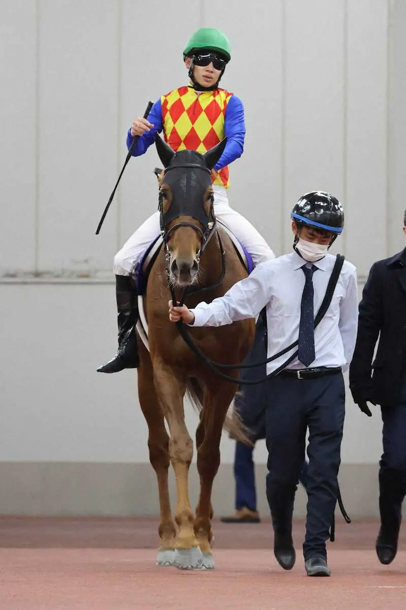 松山弘平騎乗のテーオーケインズは4着で連覇ならず