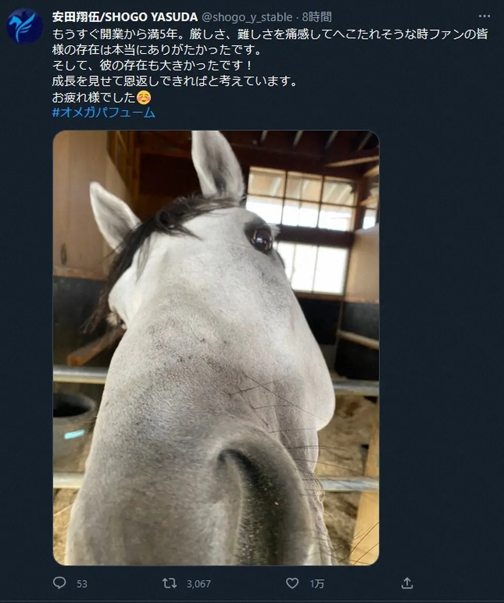 安田翔伍調教師の公式ツイッター（＠shogo_y_stable）から