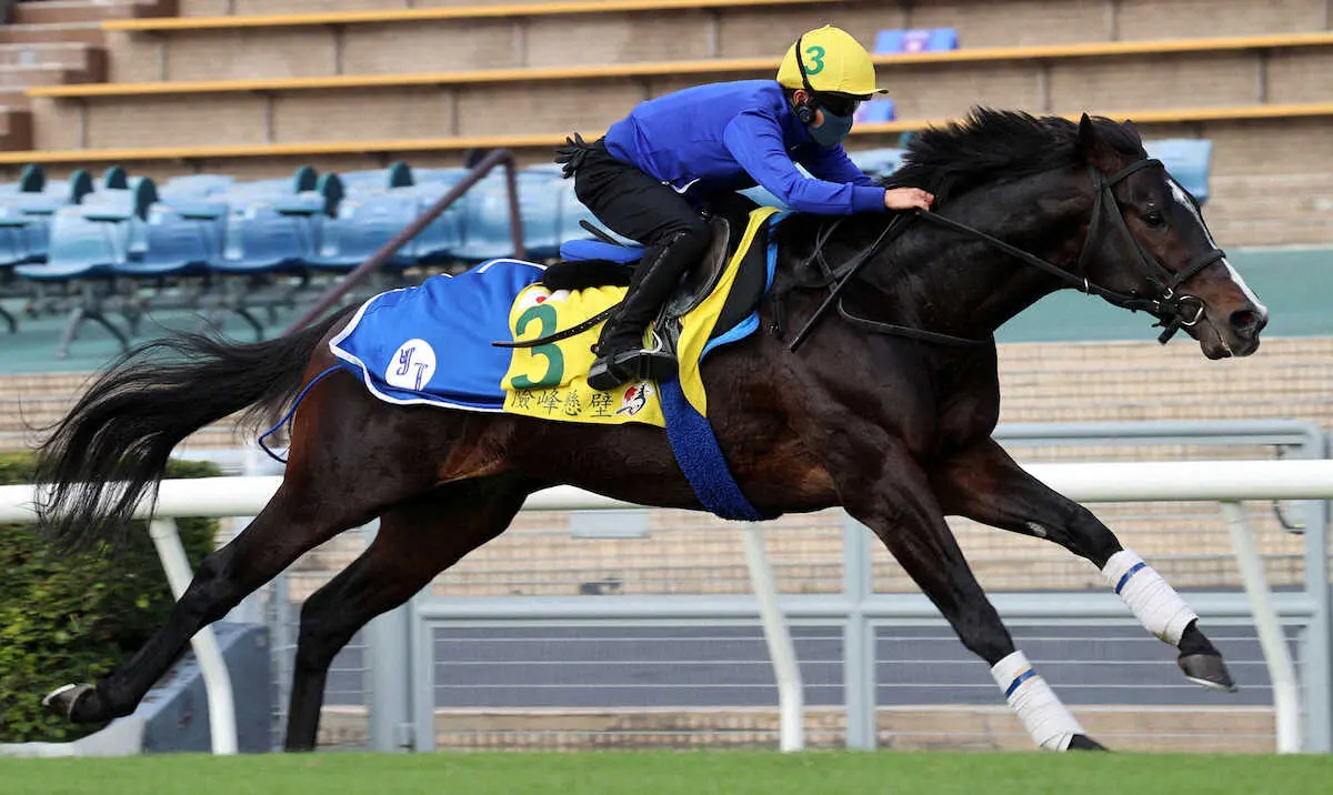 シャティン競馬場で追い切ったジャンダルム（C）The　Hong　Kong　Jockey　Club