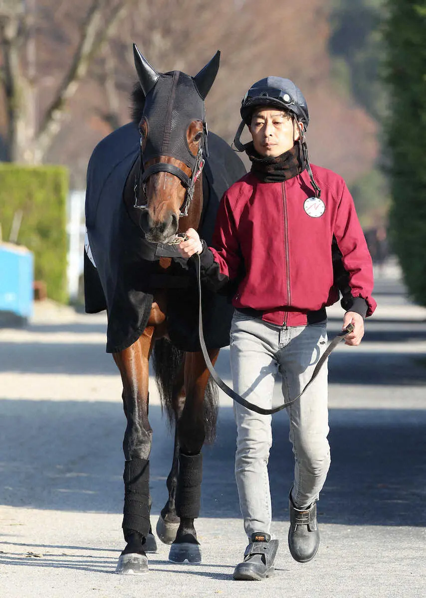 厩舎周りで運動するリバティアイランド