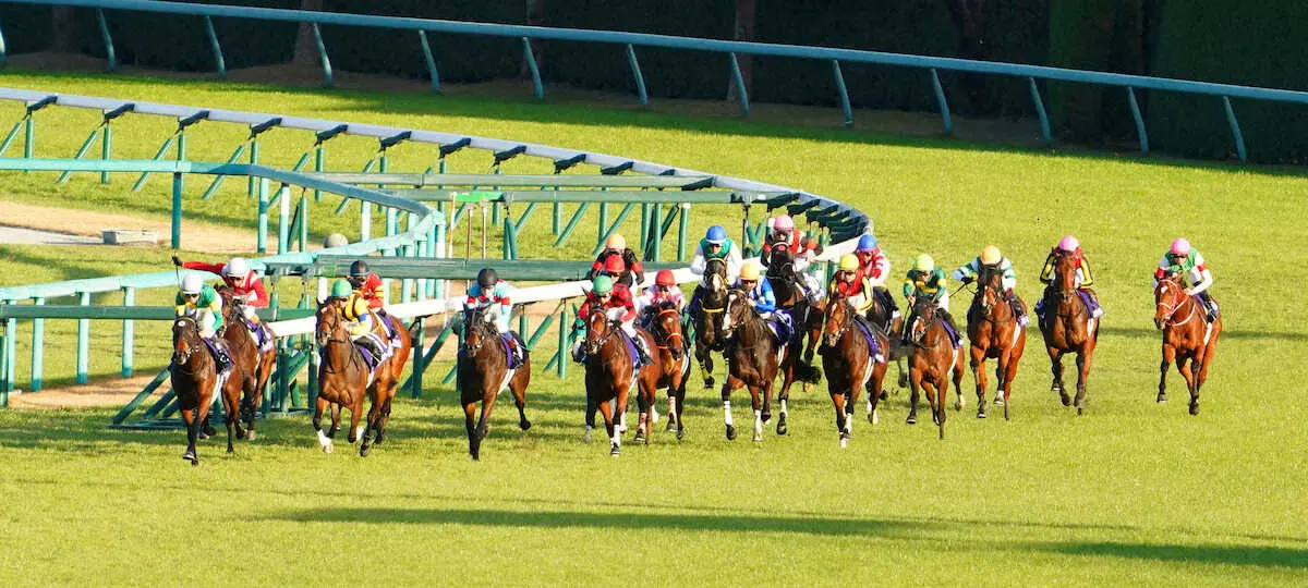 ＜阪神JF＞4角を出て好位置につけるリバティアイランド（右から6頭目）ラヴェルは大外（撮影・井垣　忠夫）
