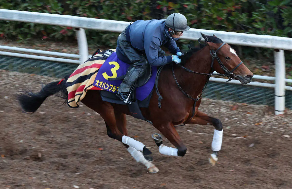 坂路で追い切るオオバンブルマイ（撮影・亀井直樹）