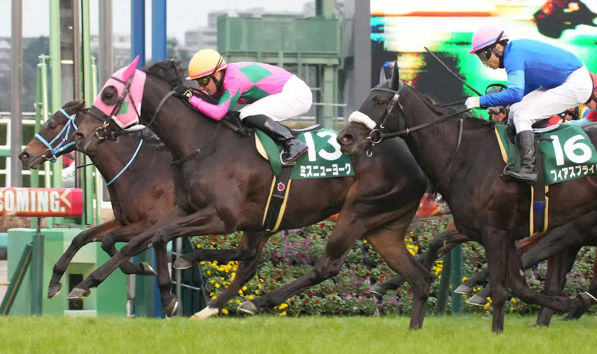 ＜ターコイズS＞レースを制したミスニューヨーク（左から2頭目）＝撮影・郡司　修