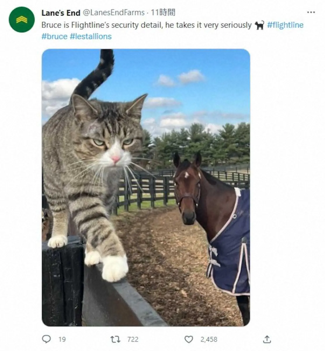 レーンズエンドファームのツイッター（＠LanesEndFarms）から