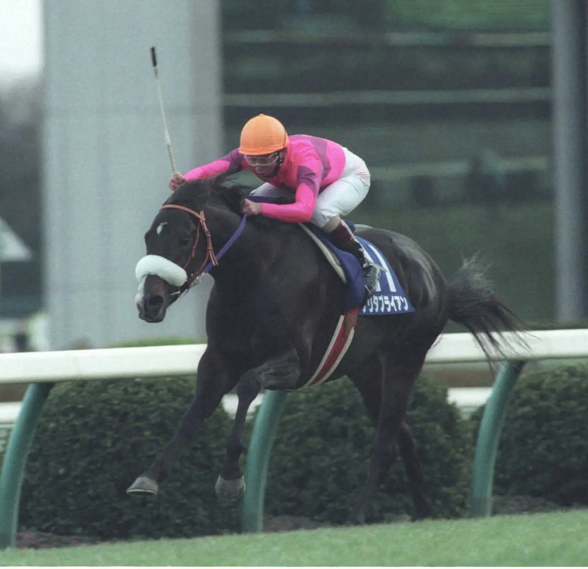 94年の有馬記念を制したナリタブライアン
