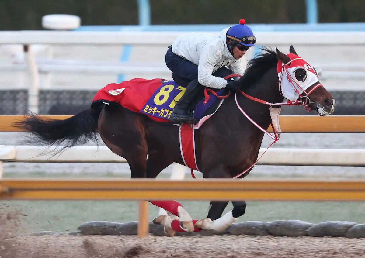 戸崎圭太騎手を背にCウッドを単走で追い切るミッキーカプチーノ