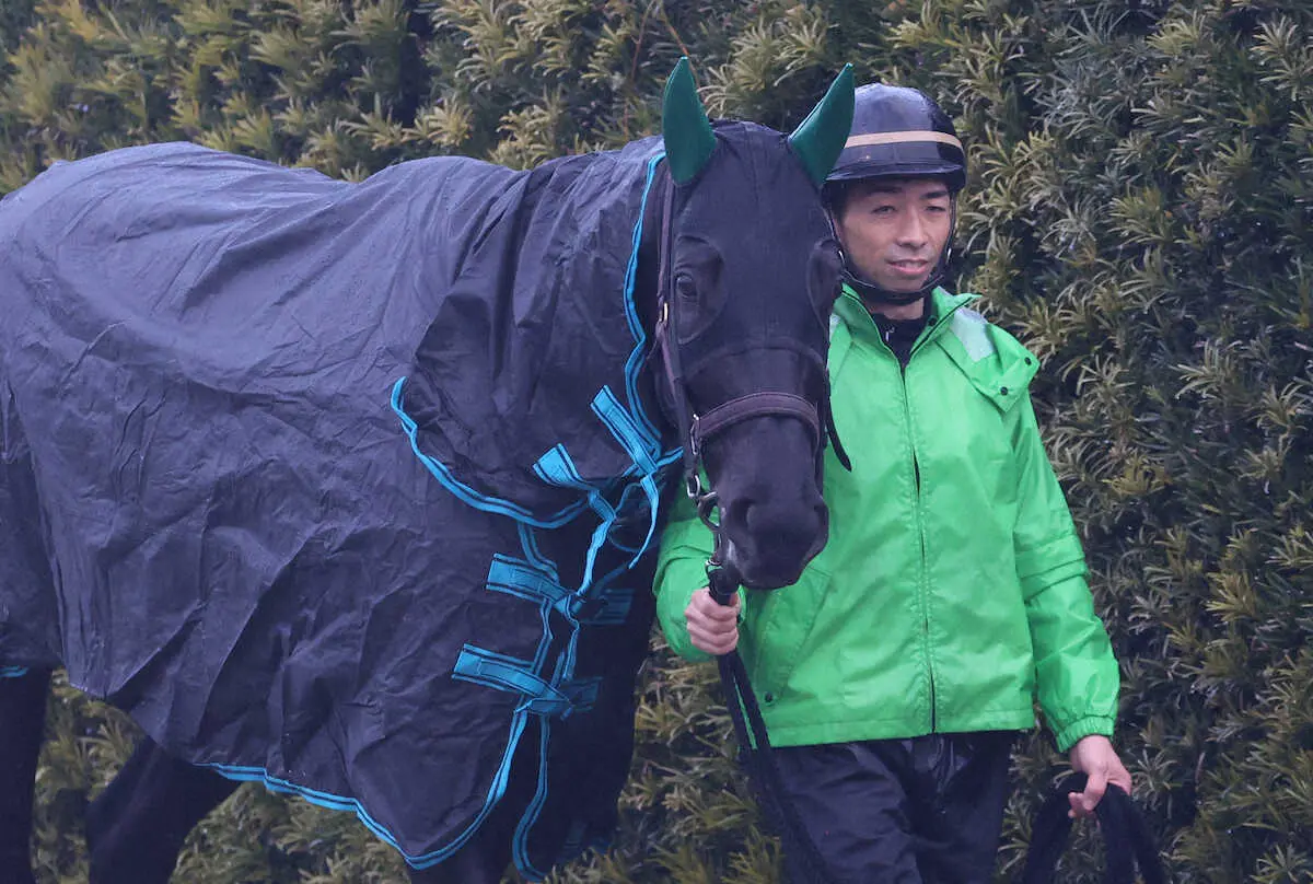 厩舎周りで運動するアカイイト（撮影・亀井直樹）