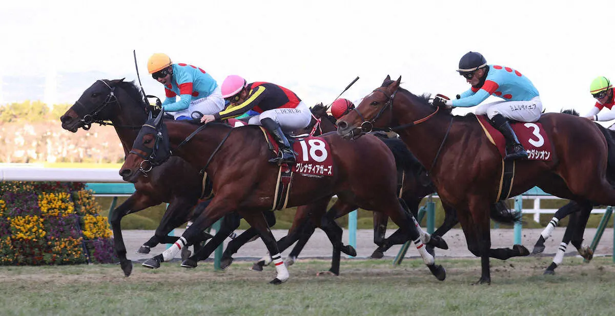 ＜阪神11R・阪神C＞内から叩き合いを制したダイアトニック（左）（撮影・亀井　直樹）