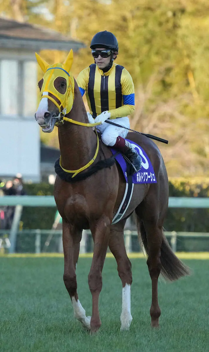 ＜有馬記念＞2着でレースを終えたボルドグフーシュ（撮影・郡司　修）