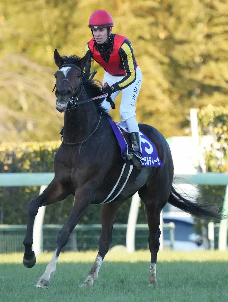 ＜有馬記念＞3着でレースを終えたジェラルディーナ（撮影・郡司　修）