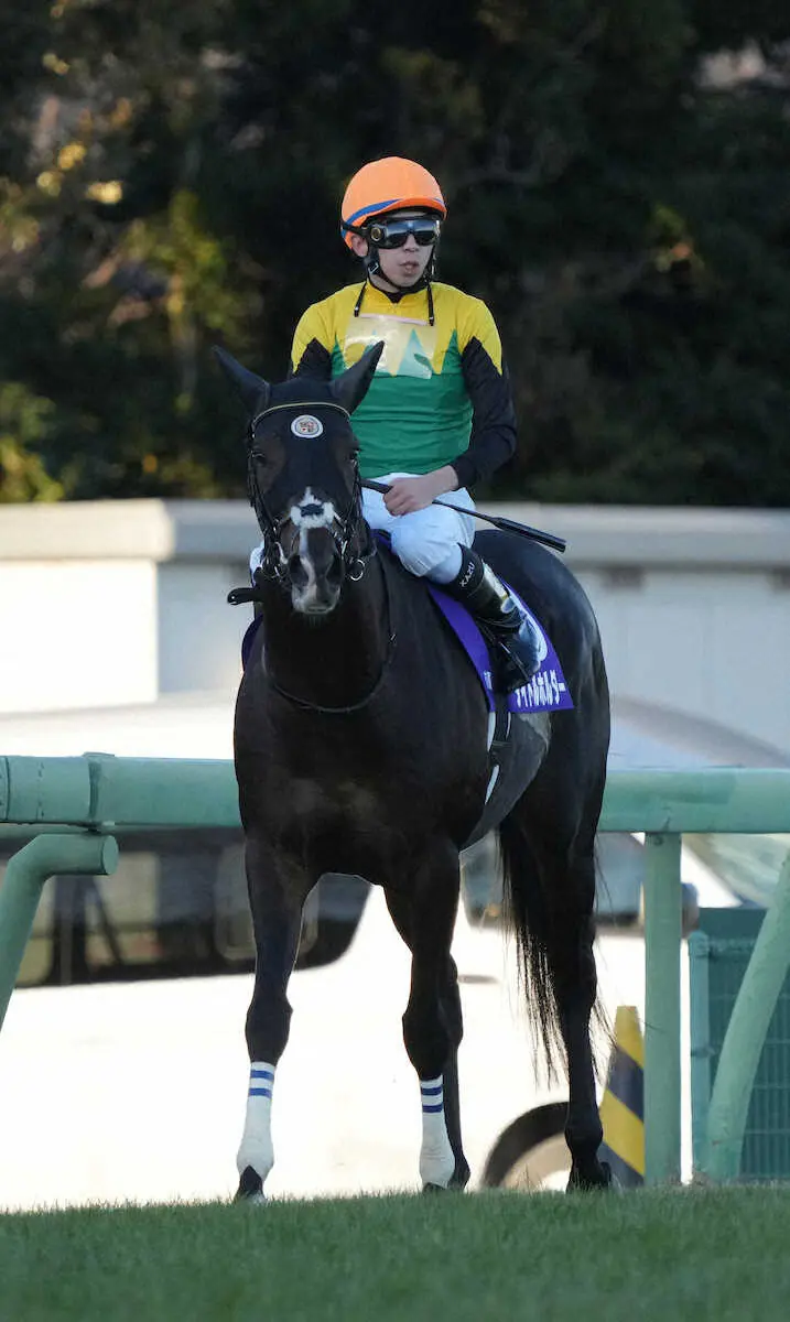 ＜有馬記念＞9着でレースを終えたタイトルホルダー（撮影・郡司　修）