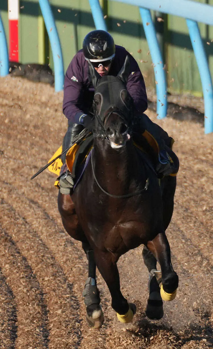 Wコースで追い切るイルーシヴパンサー（撮影・郡司　修
