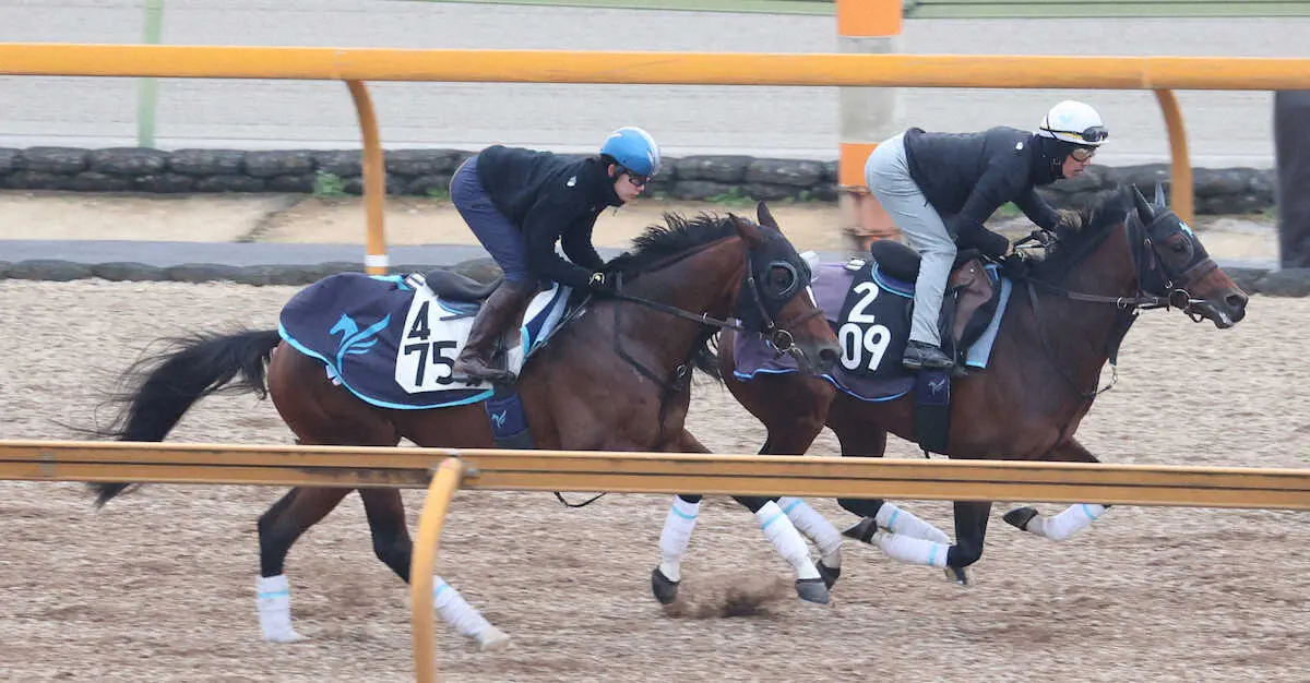 斎藤を背にCWコースを併せ馬で追い切るカレンルシェルブル（左）