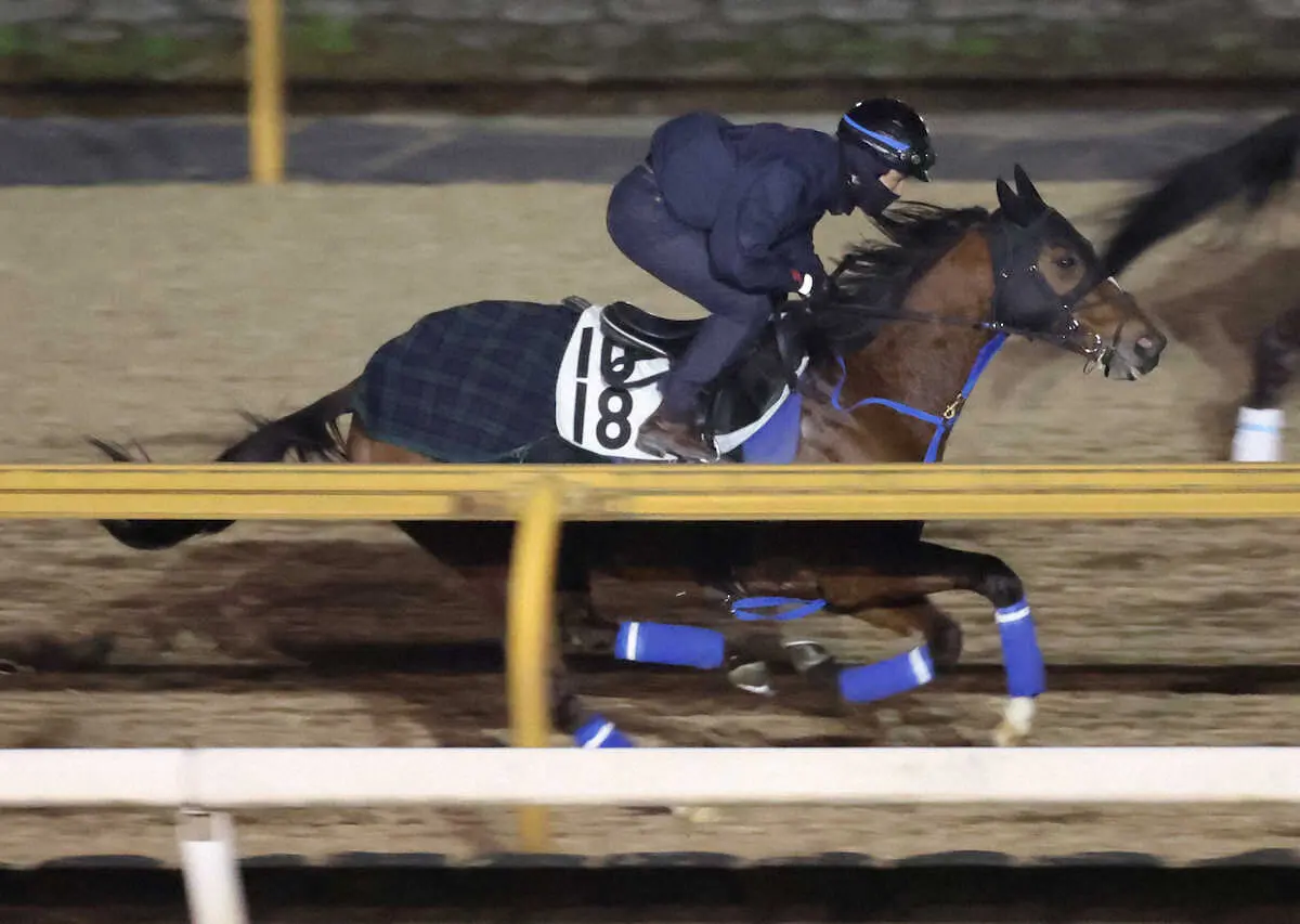 CWコースで追い切るスカーフェイス（撮影・亀井　直樹）