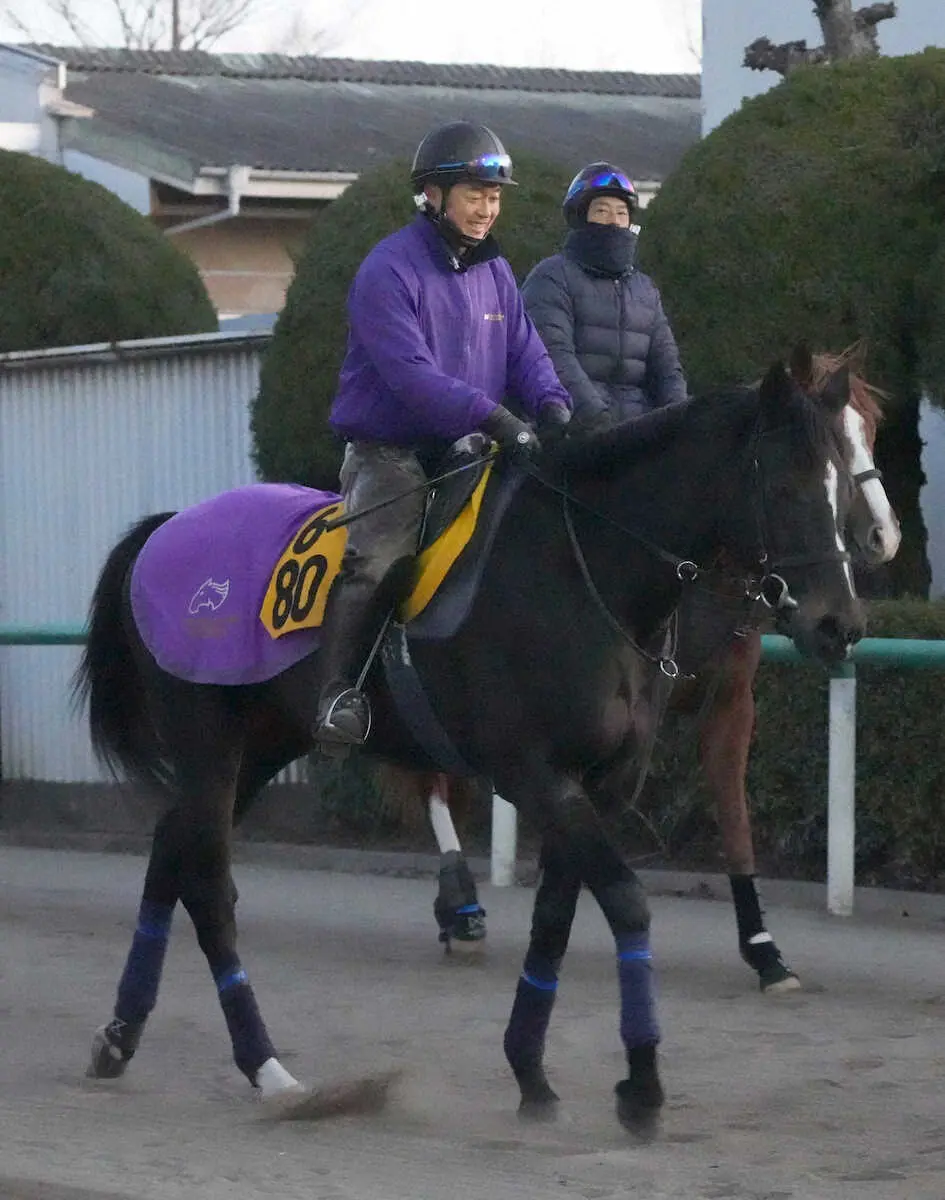 厩舎周りで運動するゴールドスミス（撮影・郡司修）