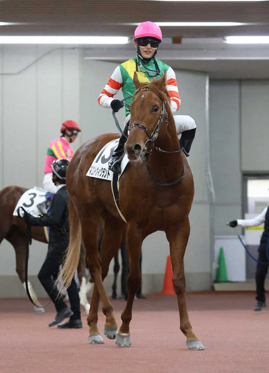 ＜中京1R＞勝利したマコトヴィクラントと坂井瑠星騎手　（撮影・亀井　直樹）