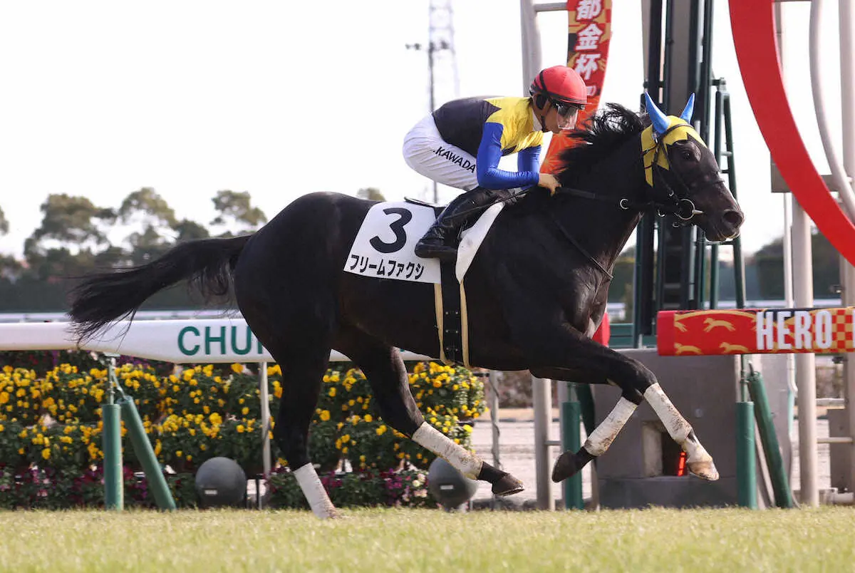 ＜中京6R＞直線で抜け出し勝利するフリームファクシ（撮影・亀井　直樹）