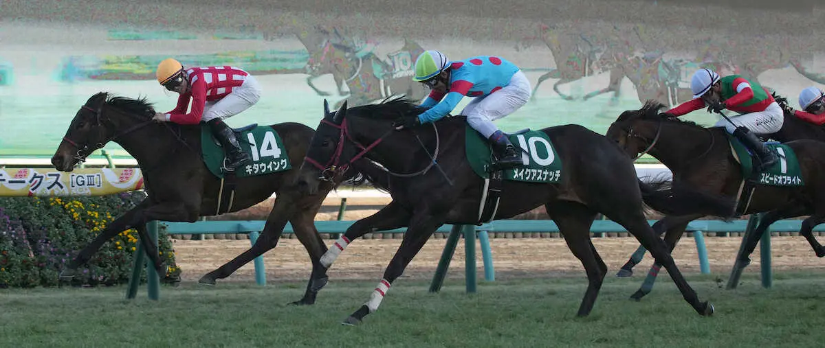 ＜フェアリーS＞レースを制したキタウイング（左）、2着のメイクアスナッチ（撮影・郡司　修）