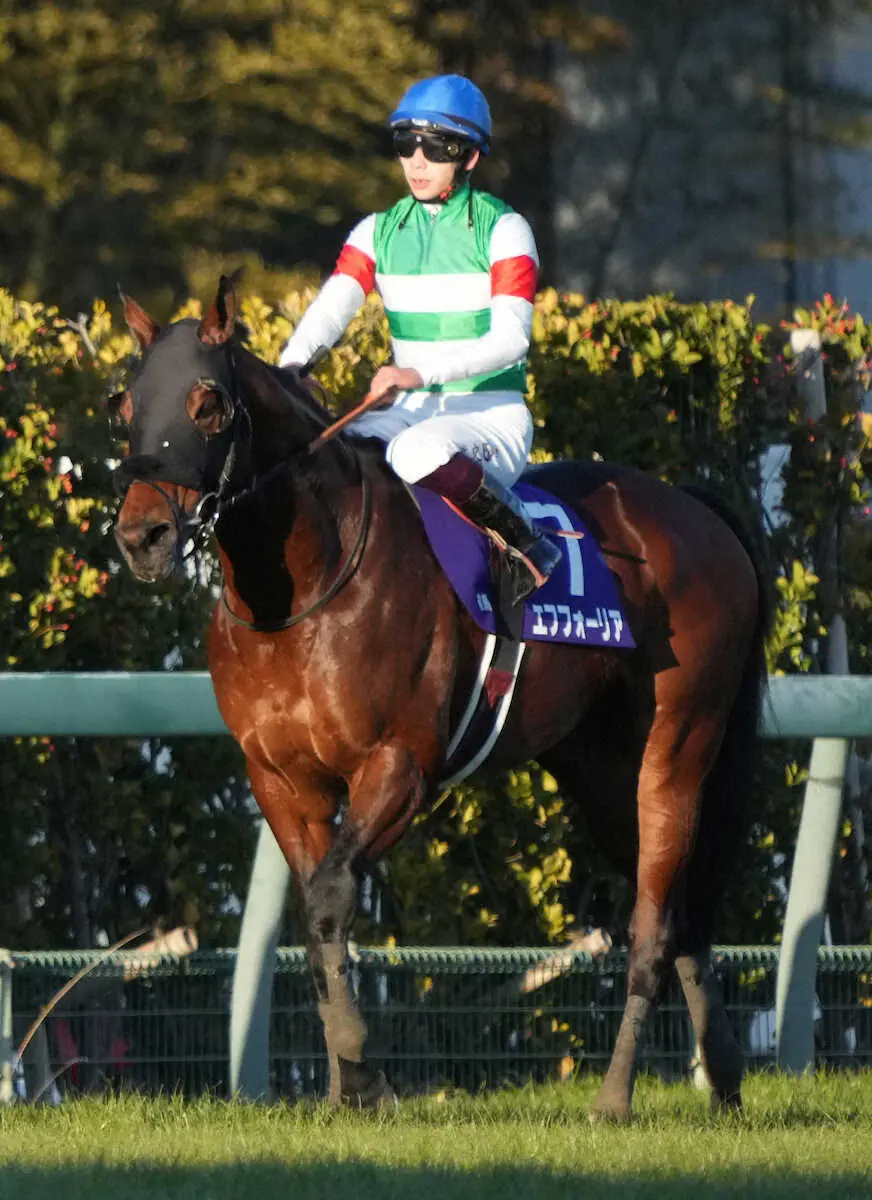 エフフォーリアと横山武騎手