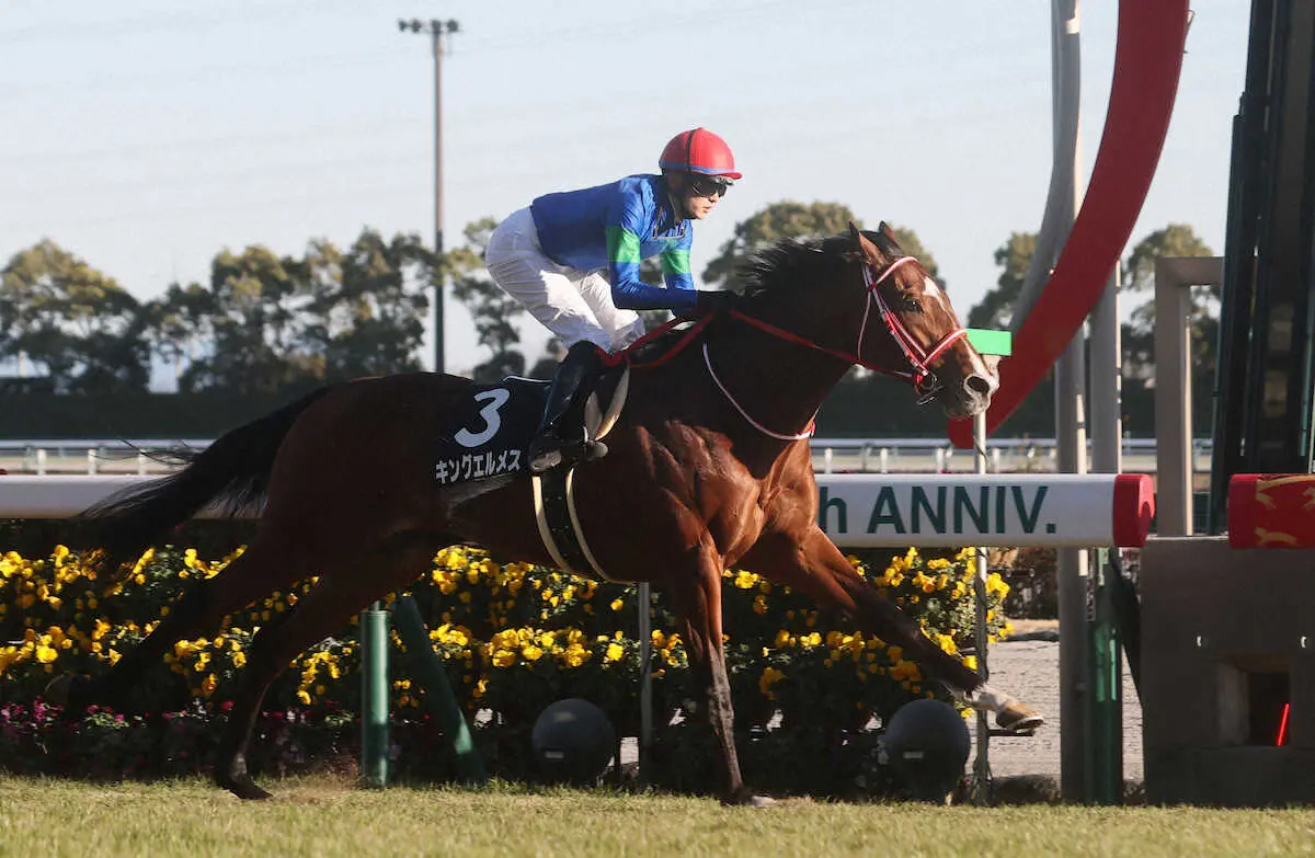 ＜中京競馬　11R・睦月S＞レースを制した坂井騎乗のキングエルメス（撮影・椎名　航）