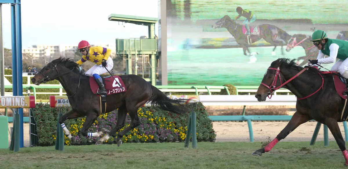 ＜中山競馬11R第64回アメリカジョッキークラブカップ＞レースを制したノースブリッジ、右は2着のエヒト（撮影・郡司　修）